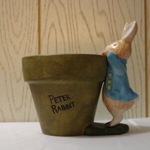 Beatrix Potter Peter Rabbit Teleflora Planter with Peter Rabbit